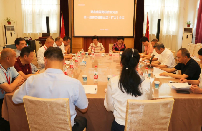 湖北省楚商联合会党委第一届委员会第三次（扩大）会议成功举行